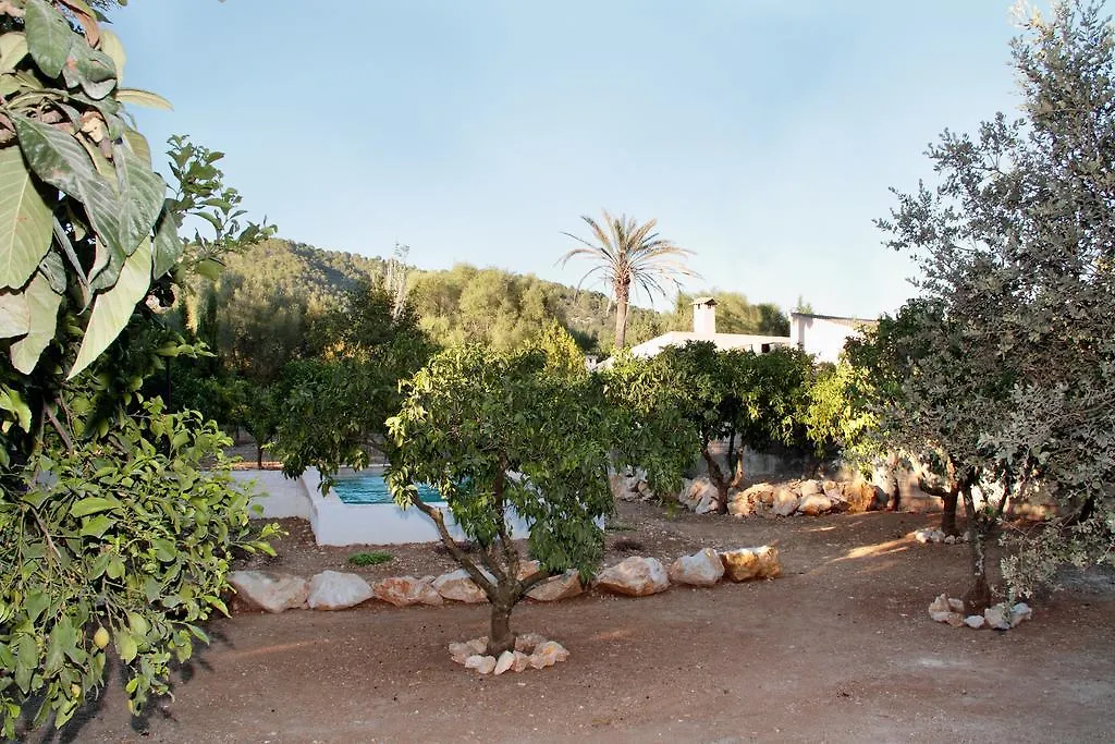 Villa Lorenzo Sa Pobla